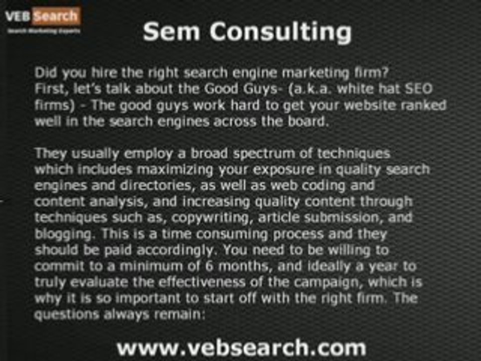 sem consulting