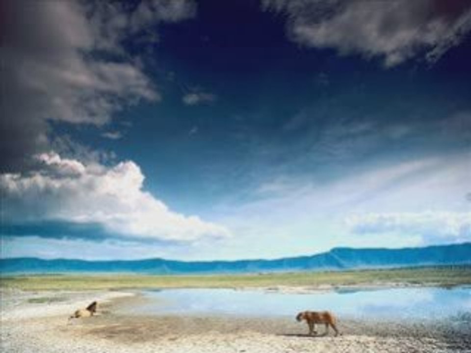 Drogo 4 - (Dub Reggae Roots Melodica)