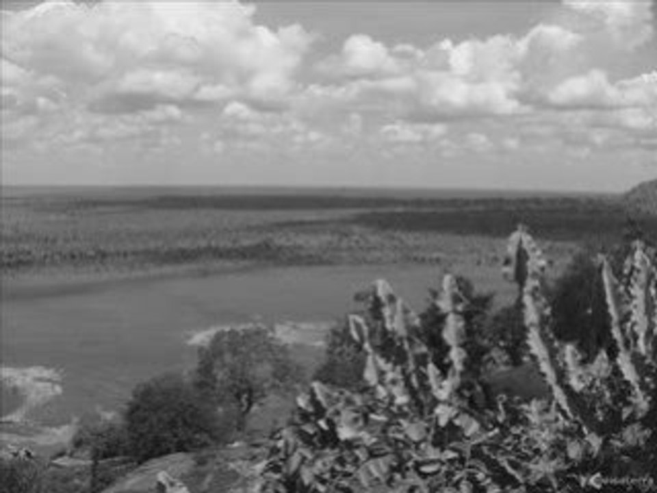 Drogo 12 - (Dub Reggae Roots Melodica)