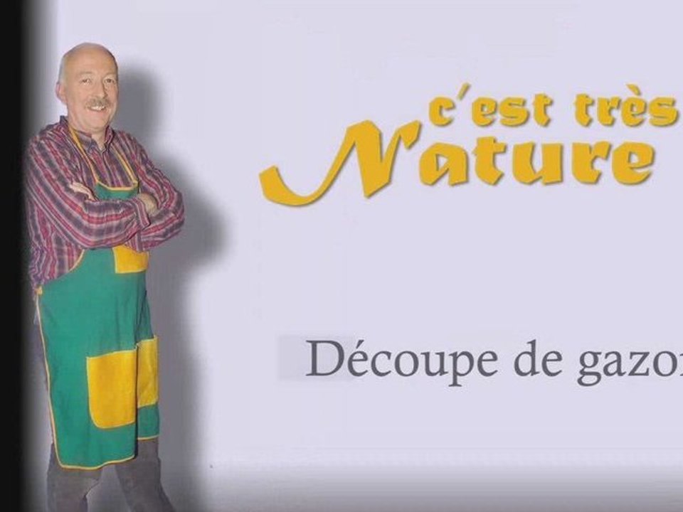 Decoupe gazon bordure