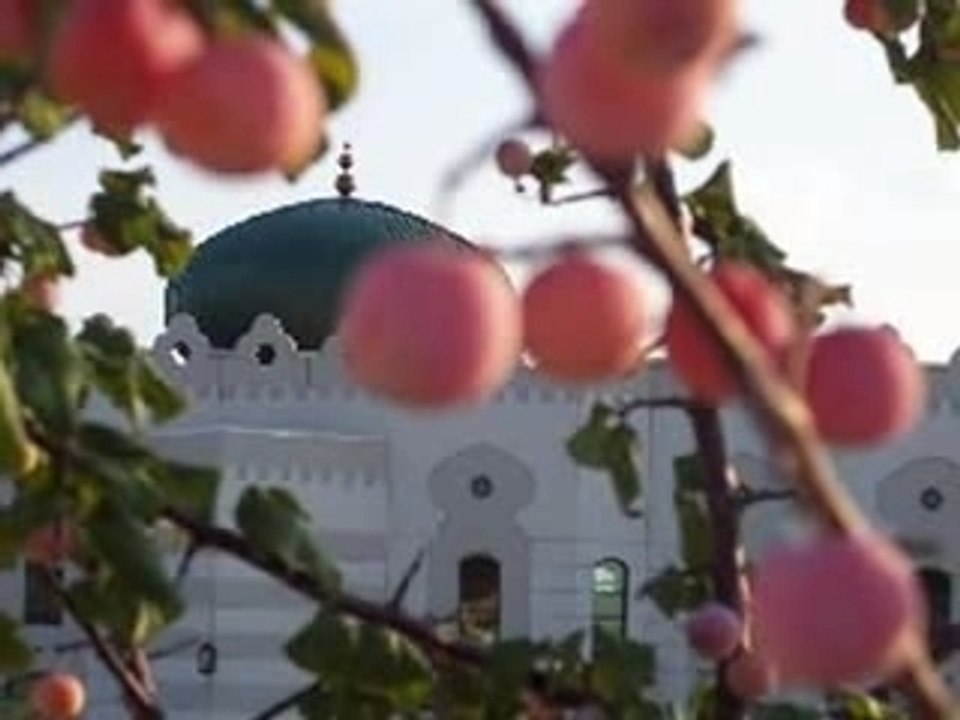 Zain Bhikha - The Heart of a Muslim