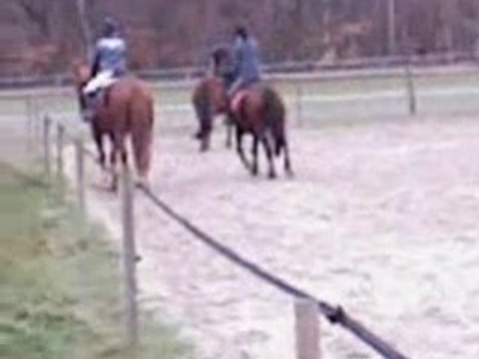 Magica novembre 2008