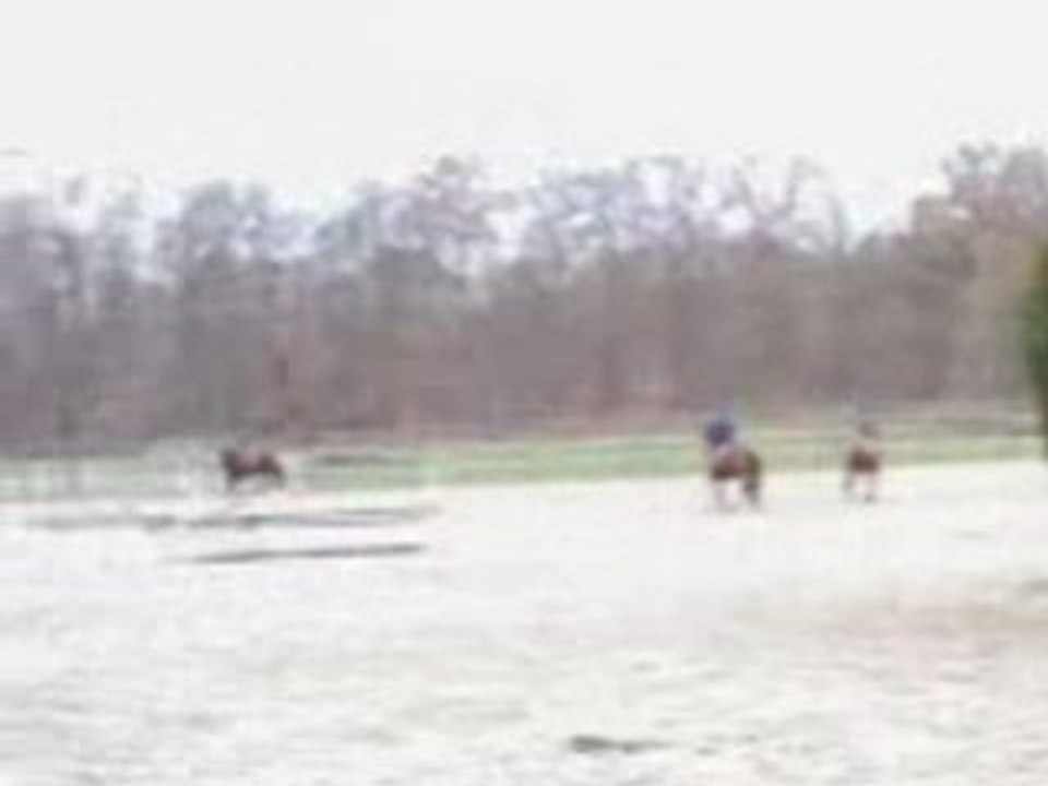 Magica novembre 2008