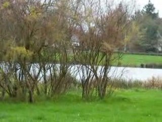 Christophe bandit 120kmh puis splash