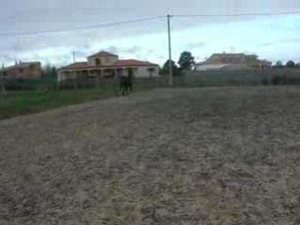 DSCN1806