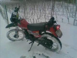 Honda XLR 125