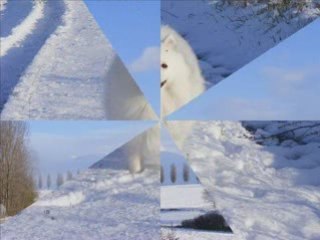 1ère neige