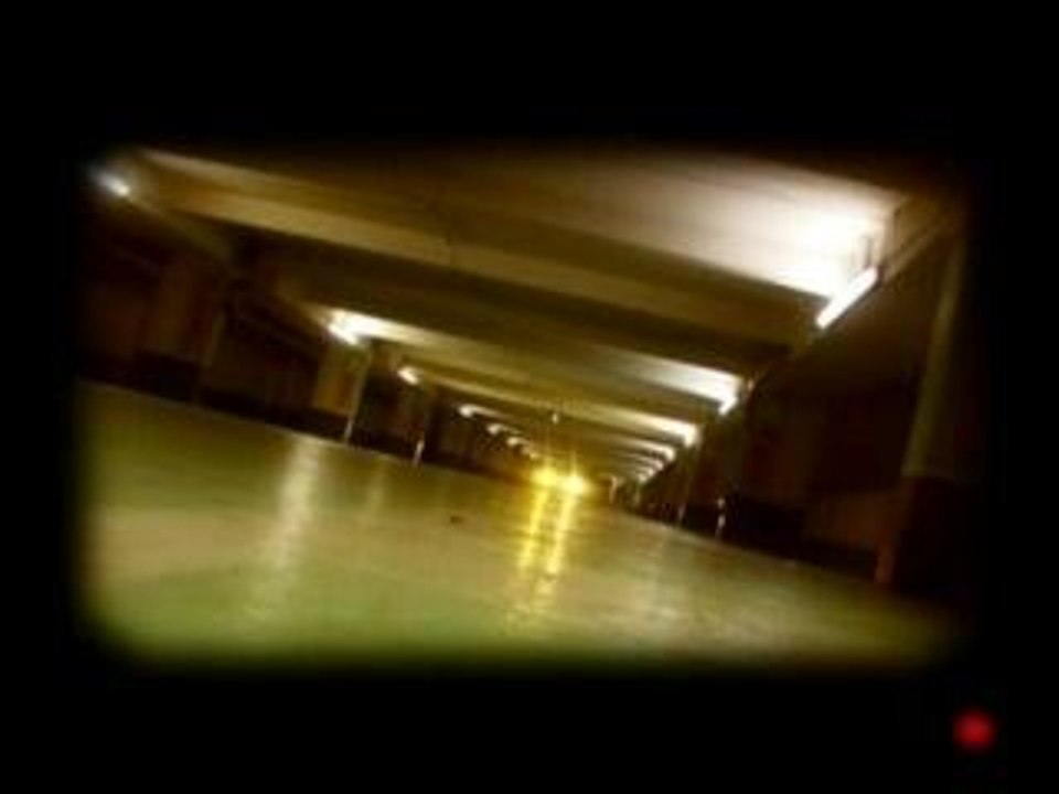 LIM clip LIM clip LIM