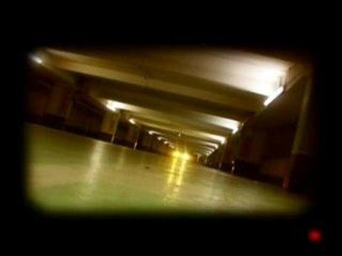 LIM clip LIM clip LIM