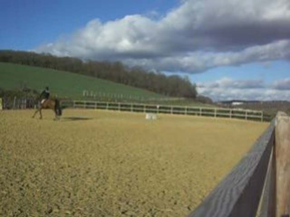 Travail sur le plat - Dressage avec ma belle Miss !!!