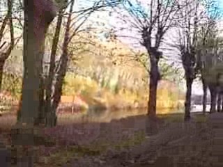 Grand Prix F1 à Flins