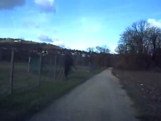 Des Terrains pour la F1 à Flins ?