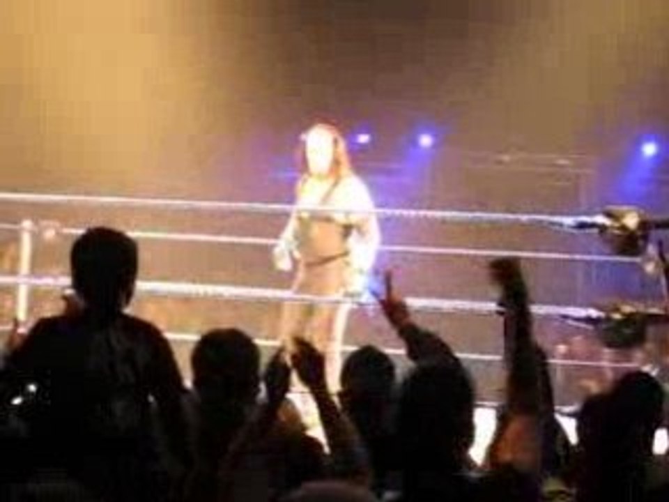 WWE Nice 2008 big show et undertaker final