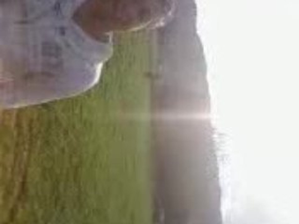 Sau en moto dim