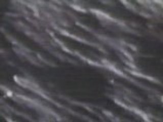 Un OVNI survole la Lune pendant la mission Apollo 12 - 13s