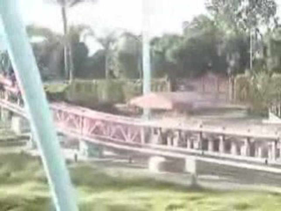 Roller Coaster Tragedy