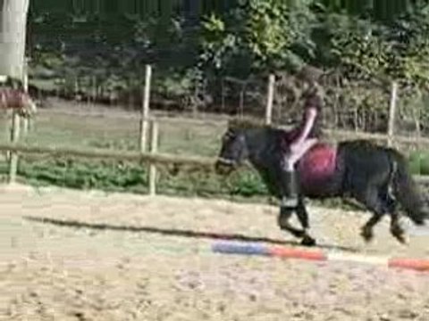 Changement de pieds au galop