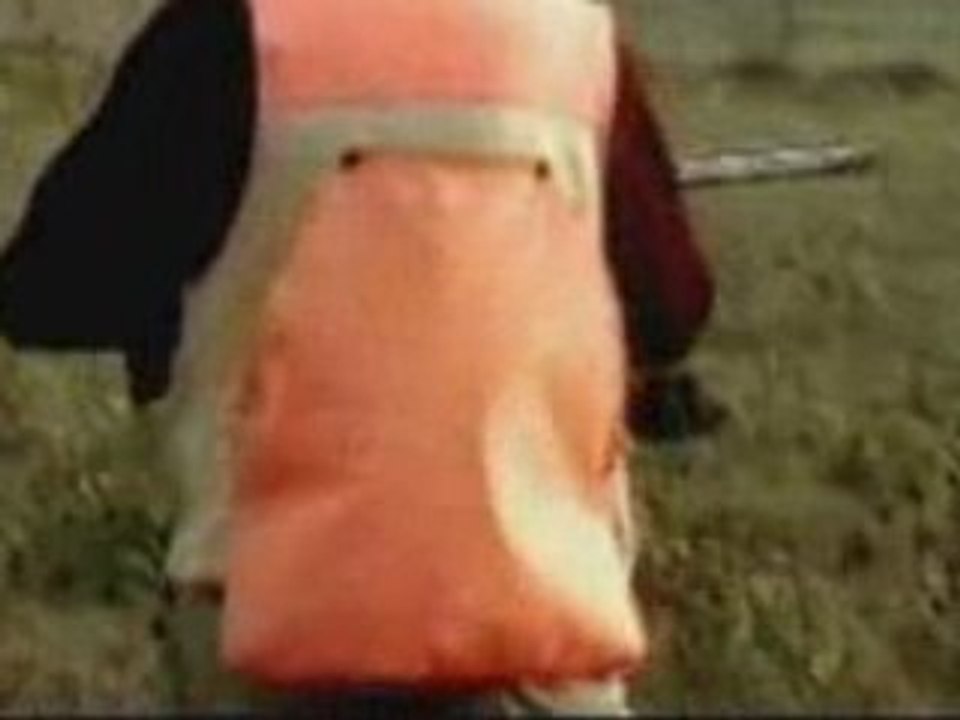 Chasse en Argentine lievre & perdrix