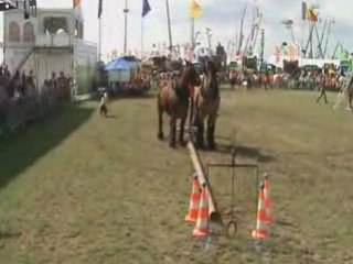 Foire de Libramont 08: 30e Concours de débardage