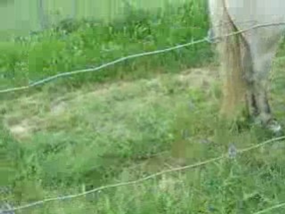 DSCN3128