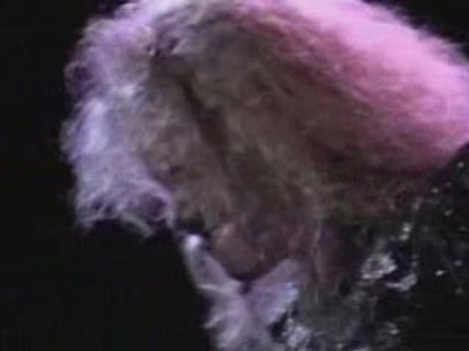 Michael Jackson - Bad Tour 1987 - Part 6 of 6