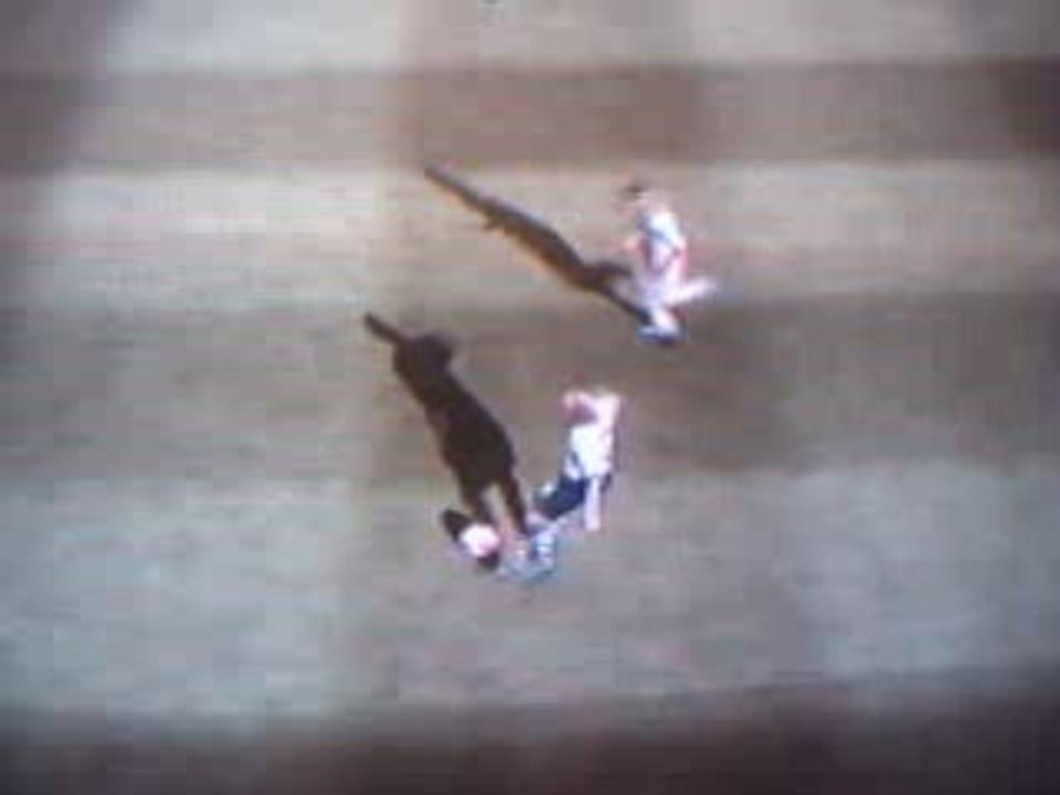 Tottenham - Grenoble 2ème but de Roman Pavluchenko