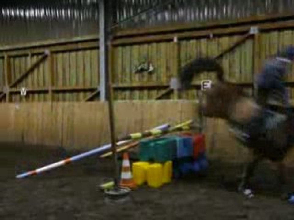 Quatrieme de blonde saut d'obstacle ( cso )