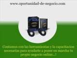 Trabajo ingresos negocio