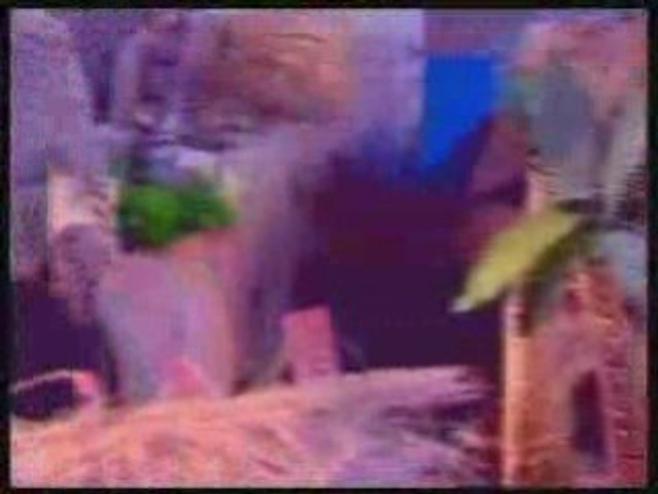 سيدنا محمد عليه الصلاة و السلام Partie (1)