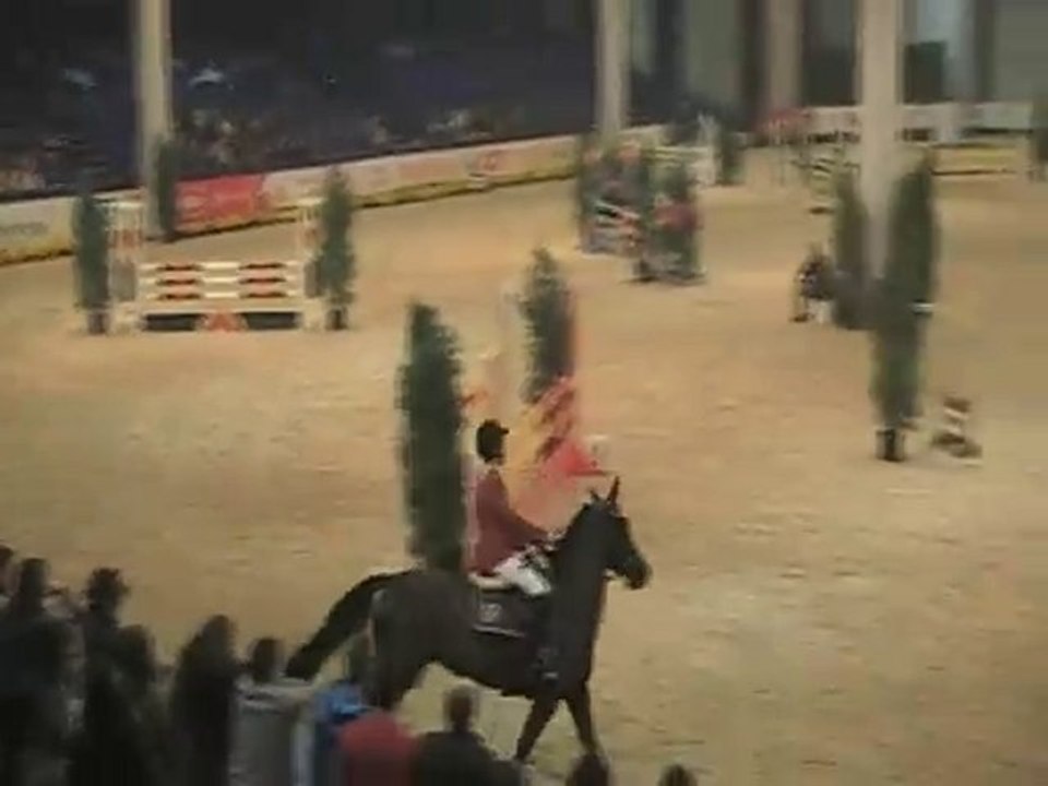 Jumping liege 2008