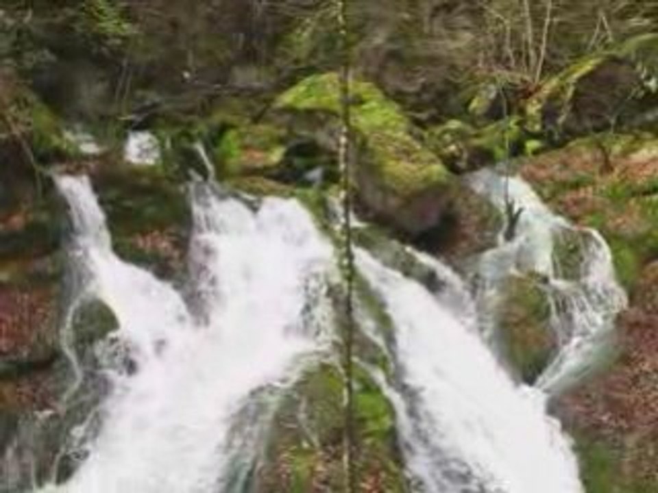 40 de Dario, balade à l'allondon et voyage à Londres