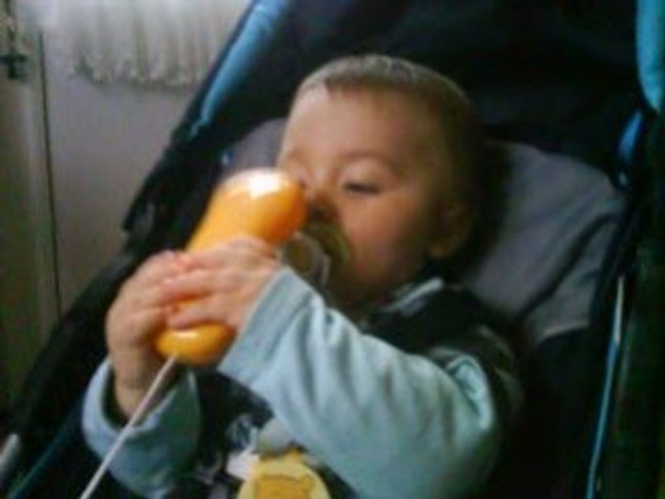 crevette et tit coeur