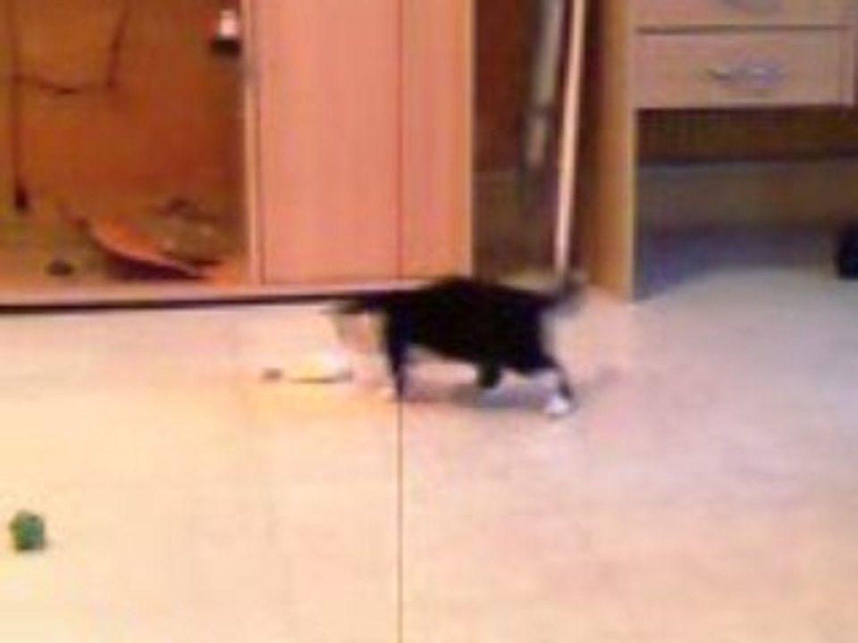 TEquilakeekee