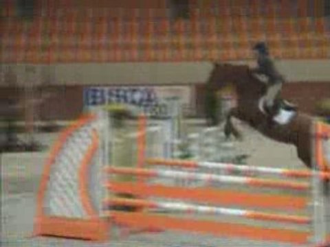 1m10 à Moorsele le vendredi 07/11/2008