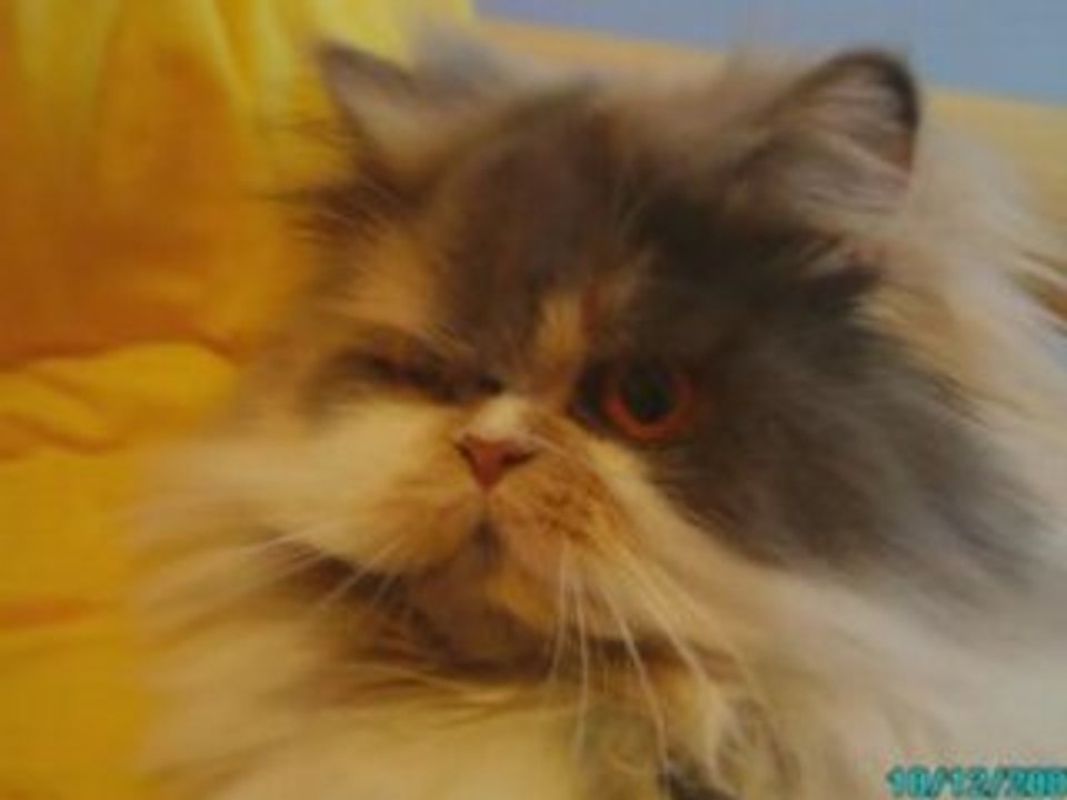 Minoux