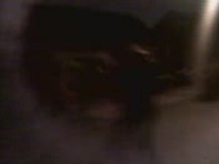 Comme par hasard lol