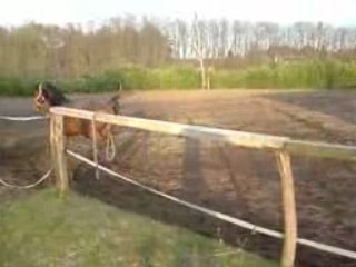 Mon titi qui se défoule trop beau !!!!