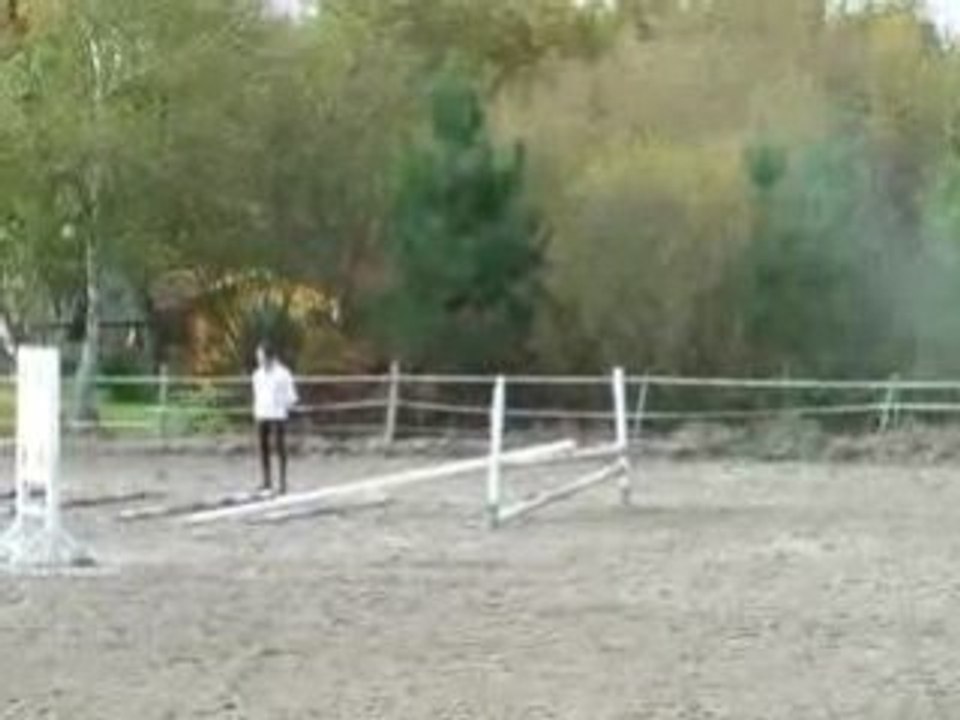 2007_0304BalyCSO0012