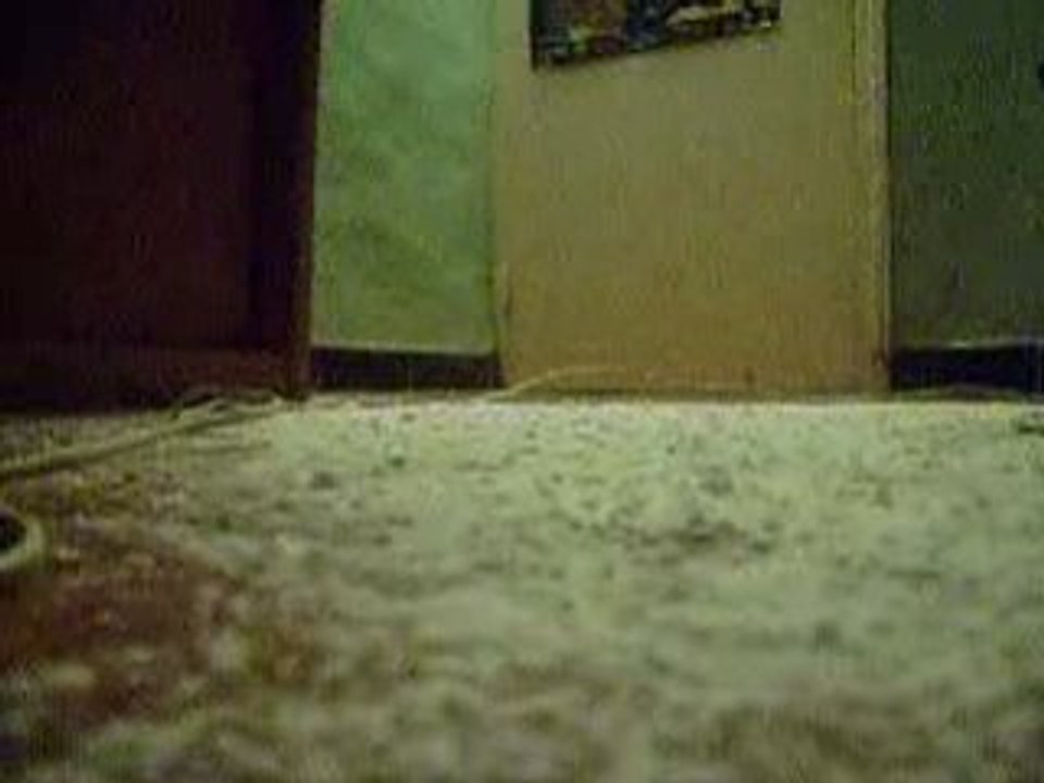 crash 306 maxi rallye monté carlo