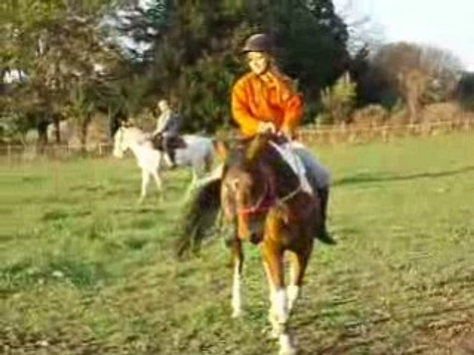 travail sur le plat samedi 8 novembre 2008