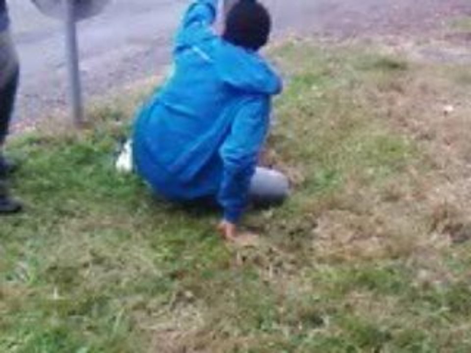 Brian le mangol