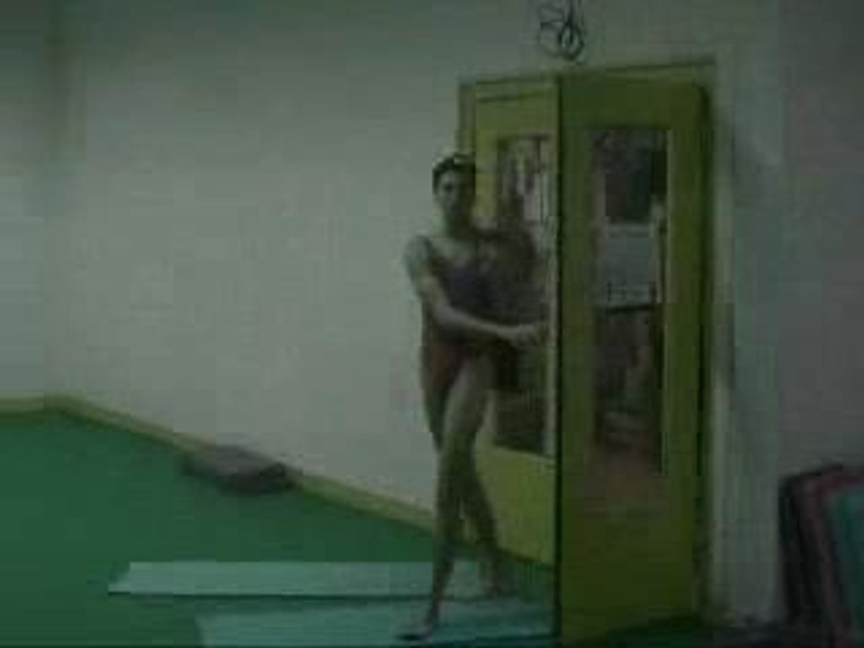 parodie clip call on me