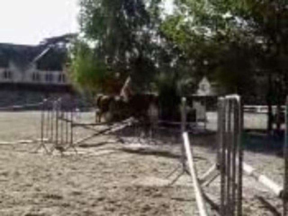 Puissance avec Hep Eté 208