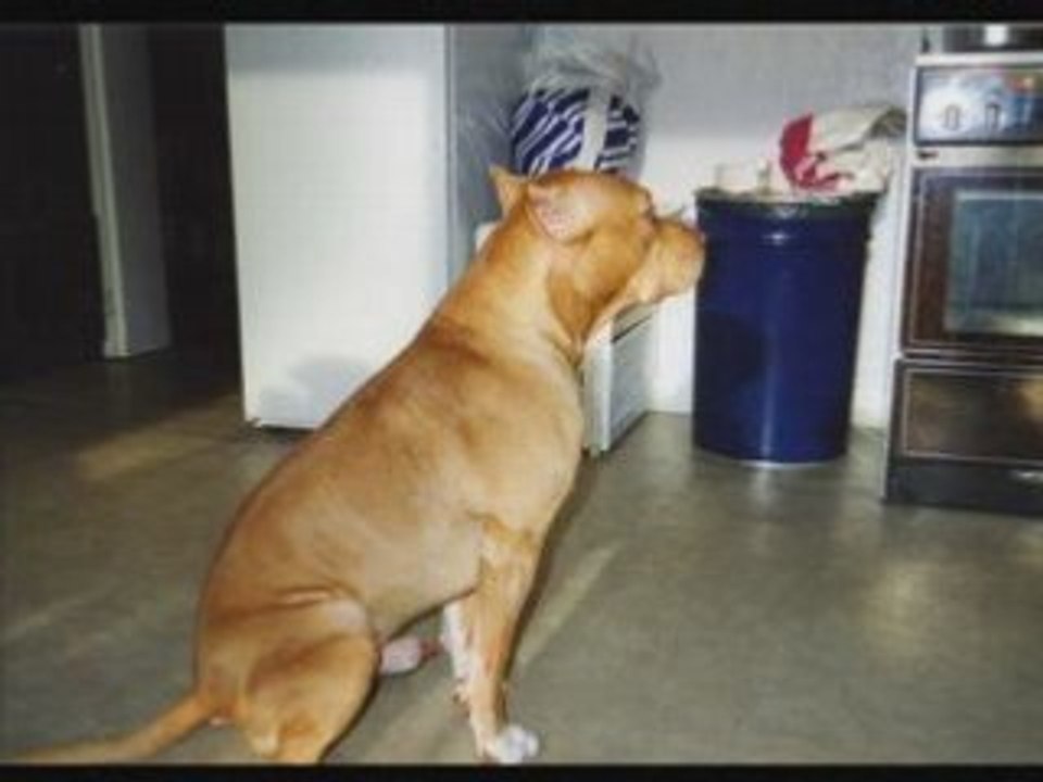 hommage a ZEUS