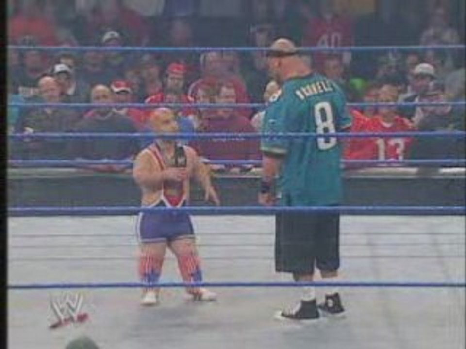Angle mocks cena