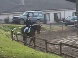 Video dressage cce