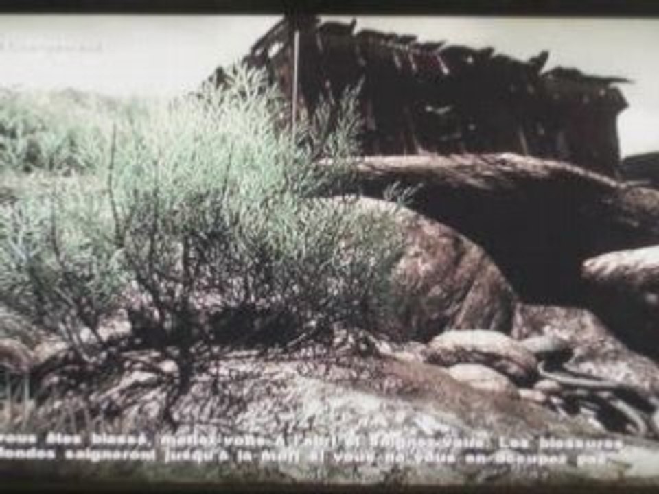 videotest Farcry 2 multi