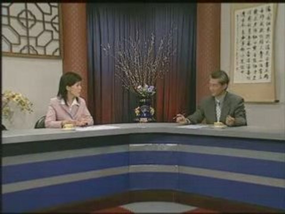 华人新视野：自由之家之报告(2/3)
