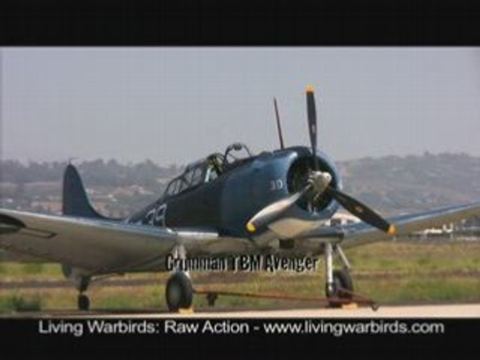 Grumman TBM Avenger - Living Warbirds: Raw Action