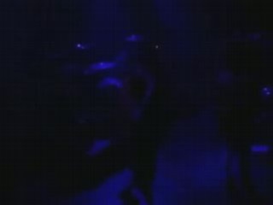 Mypollux-Coffre à souhait Live